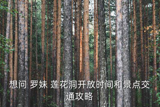 羅妹蓮花洞,免費開車到百色景區不用出高速直到羅村口