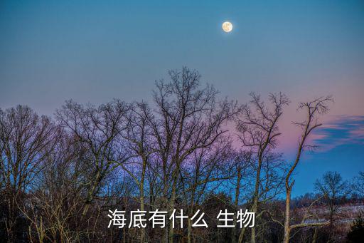 海洋里的生物,海洋生物清單出爐海底有210種生物