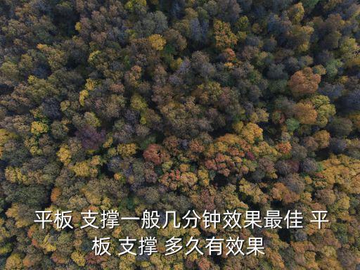  平板 支撐一般幾分鐘效果最佳 平板 支撐 多久有效果