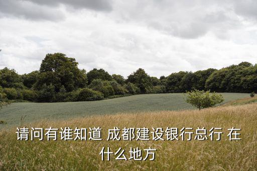 請問有誰知道 成都建設銀行總行 在什么地方