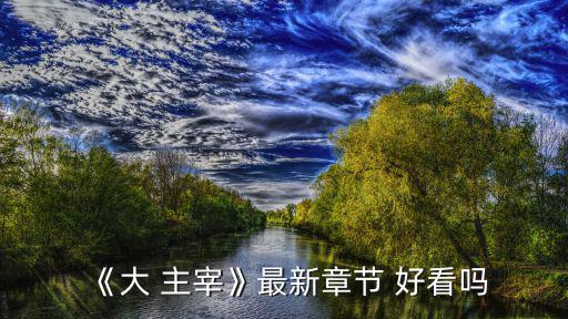 《大 主宰》最新章節(jié) 好看嗎