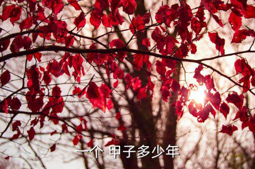 一個 甲子多少年