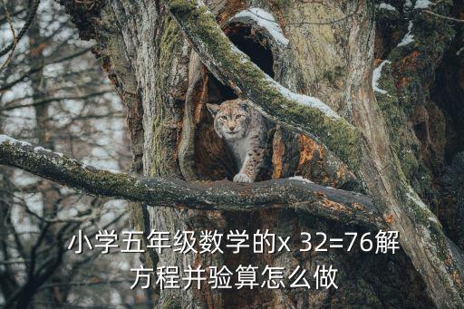  小學五年級數學的x 32=76解 方程并驗算怎么做