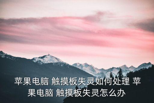  蘋果電腦 觸摸板失靈如何處理 蘋果電腦 觸摸板失靈怎么辦