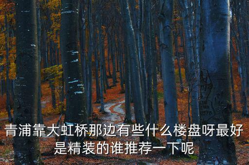 青浦靠大虹橋那邊有些什么樓盤呀最好是精裝的誰推薦一下呢