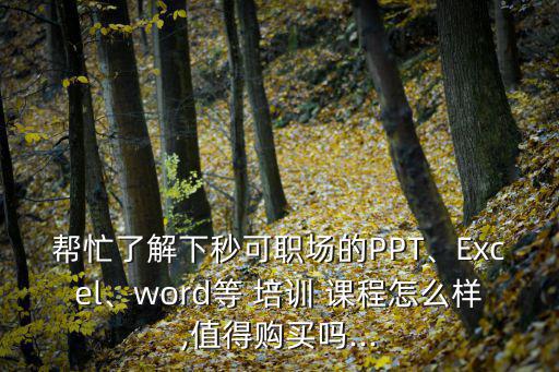 幫忙了解下秒可職場的PPT、Excel、word等 培訓 課程怎么樣,值得購買嗎...