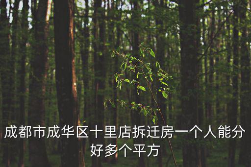 成都市成華區十里店拆遷房一個人能分好多個平方