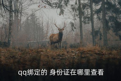  qq綁定的 身份證在哪里查看