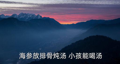  海參放排骨燉湯 小孩能喝湯