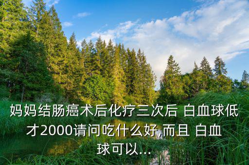 白血球低吃什么補得快,狗狗得吃什么能提高白細胞?