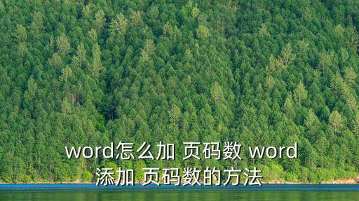  word怎么加 頁碼數 word添加 頁碼數的方法