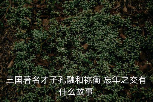 三國著名才子孔融和禰衡 忘年之交有什么故事