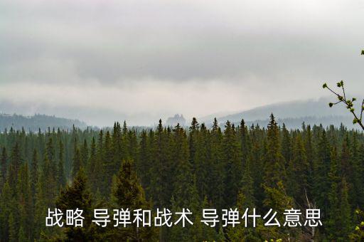 戰(zhàn)略導彈,美國只認為是戰(zhàn)術導彈從命名可知結論