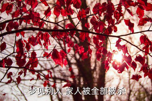 夢見家人被殺,周三夢見別人被殺有何象征意義?