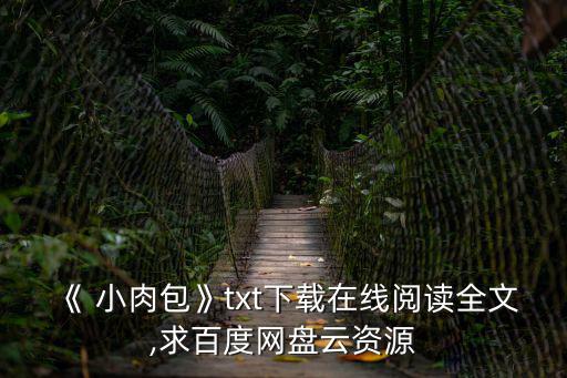 小肉包,第13集:小肉包之爭