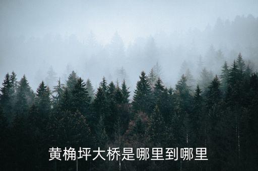 黃桷坪大橋是哪里到哪里