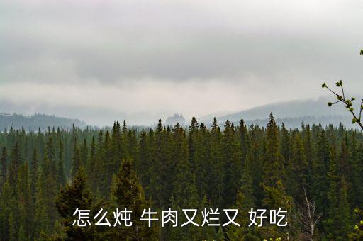 燉牛肉怎么做好吃又爛,先焯水再撈起來牛肉放入砂鍋慢燉2小時