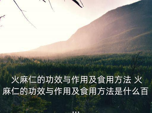 火麻仁的作用與功效,火麻仁入湯:潤(rùn)腸通便補(bǔ)虛又滋補(bǔ)補(bǔ)虛