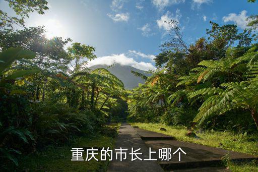 重慶的市長上哪個