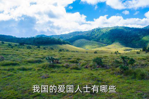 我國的愛國人士有哪些