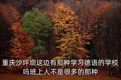 重慶沙坪壩這邊有那種學(xué)習(xí)德語(yǔ)的學(xué)校嗎班上人不是很多的那種