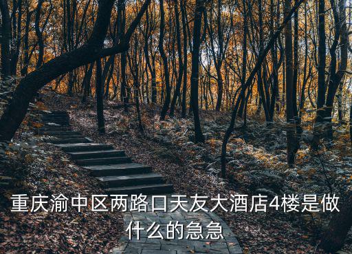 重慶渝中區(qū)兩路口天友大酒店4樓是做什么的急急