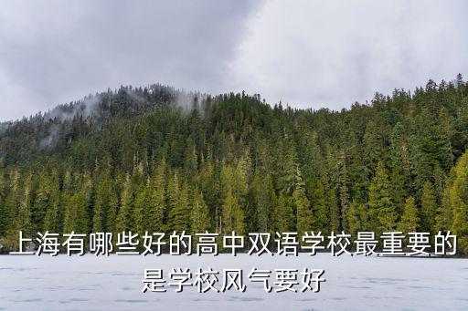 上海有哪些好的高中雙語學校最重要的是學校風氣要好