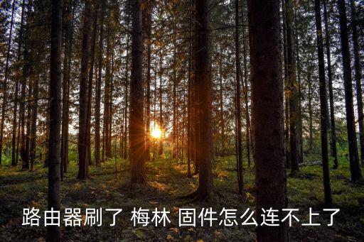 路由器刷了 梅林 固件怎么連不上了