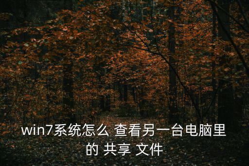 win7系統(tǒng)怎么 查看另一臺(tái)電腦里的 共享 文件