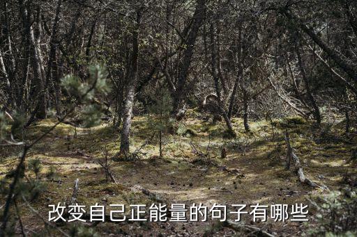 提升自己的正能量句子，一段鼓勵自己勵志的話