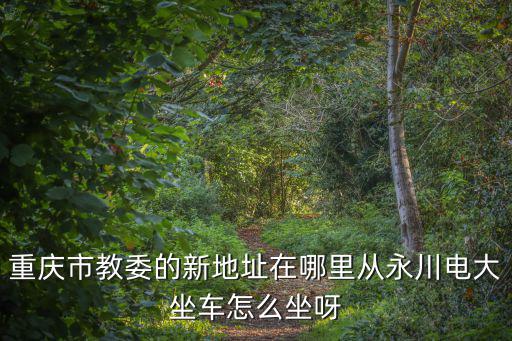 重慶市教委的新地址在哪里從永川電大坐車怎么坐呀
