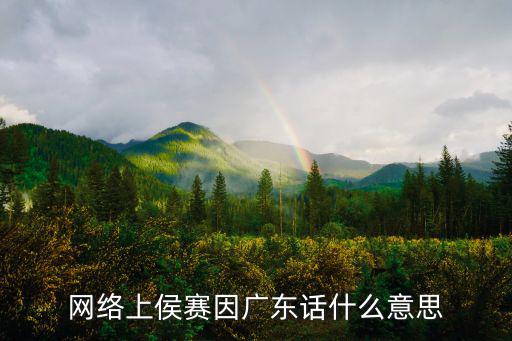 侯賽因，小說里的人物侯塞因