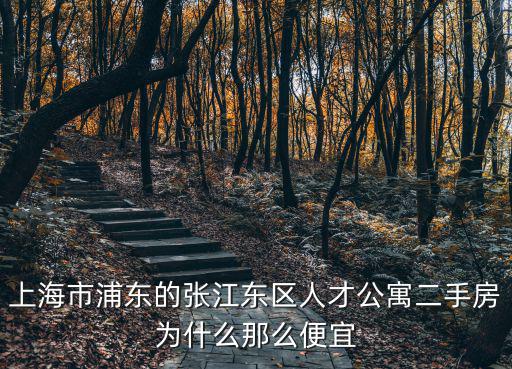 上海市浦東的張江東區人才公寓二手房為什么那么便宜