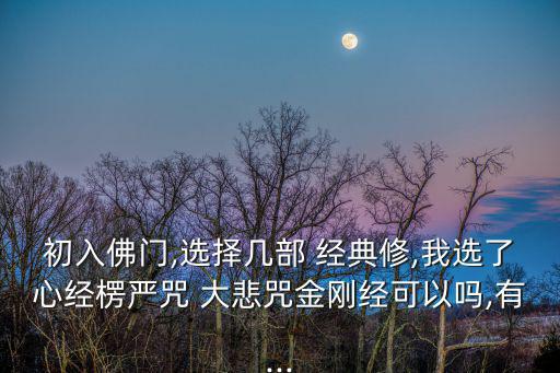 經典大悲咒,先去博覽會經典再看咒文