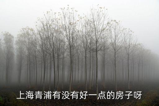 上海青浦有沒有好一點的房子呀
