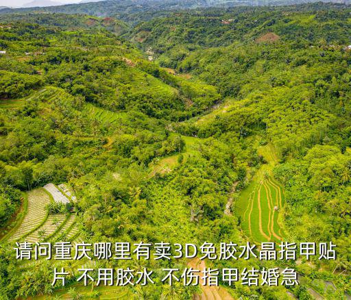 請問重慶哪里有賣3D免膠水晶指甲貼片 不用膠水 不傷指甲結婚急