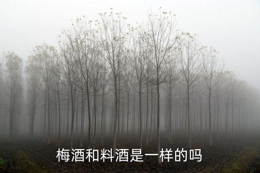 梅酒和料酒是一樣的嗎