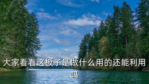 大家看看這板子是做什么用的還能利用嗎