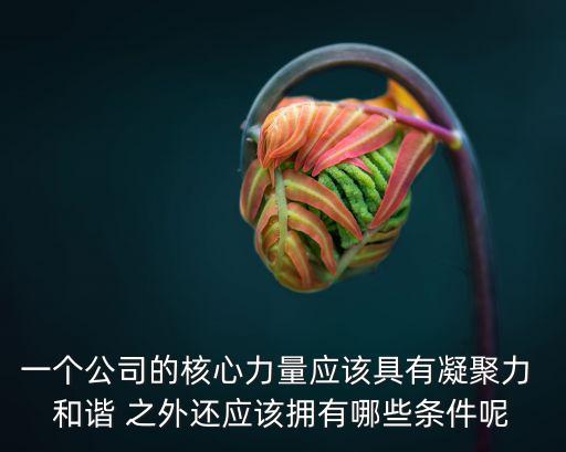 一個公司的核心力量應該具有凝聚力 和諧 之外還應該擁有哪些條件呢