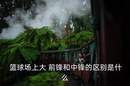籃球大前鋒,前鋒in籃球分為大前鋒和小前鋒