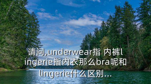 請問,underwear指 內褲lingerie指內衣那么bra呢和lingerie什么區別...