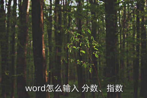  word怎么輸入 分數、指數