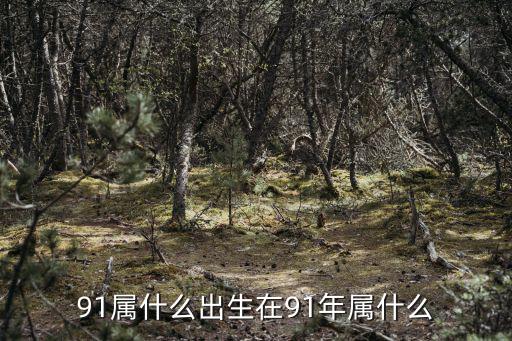 91年屬什么的,1991年出生的人是什么來頭?