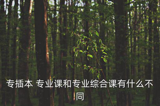 專插本 專業(yè)課和專業(yè)綜合課有什么不同