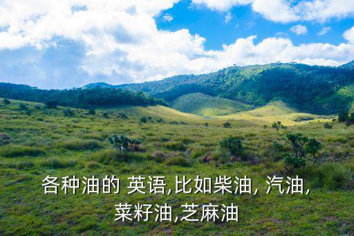 各種油的 英語,比如柴油, 汽油,菜籽油,芝麻油