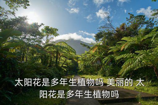  太陽花是多年生植物嗎 美麗的 太陽花是多年生植物嗎