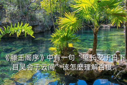 極目四望,極目四思感嘆張本接下來的生活