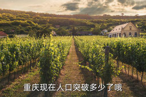 重慶市人口變化情況，重慶現(xiàn)在人口突破多少了哦