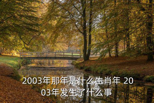  2003年那年是什么生肖年 2003年發(fā)生了什么事