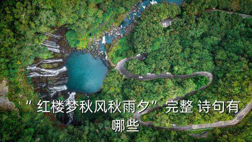 紅樓夢詩句,十首紅樓評論
